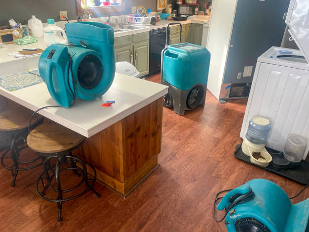 Best Flood damage cleanup  in Energy, IL