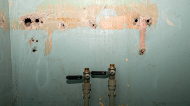 Best Water damage restoration near me  in Energy, IL