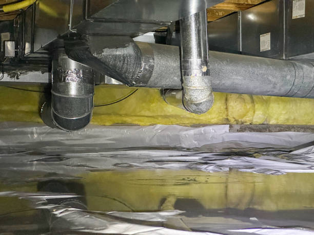 Best Flood restoration services  in Energy, IL