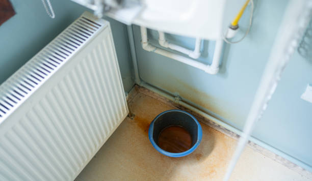 Water damage restoration mold remediation in Energy, IL