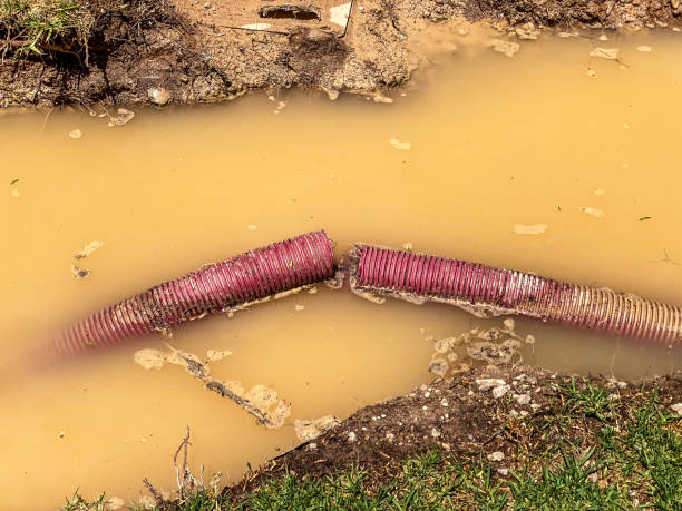 Best 24-hour water damage restoration  in Energy, IL